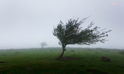 Meteoroloji'den kuvvetli yağış ve rüzgar uyarısı