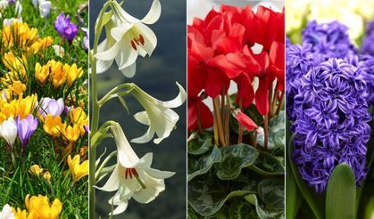 Baharın müjdecisi Cemre düşme tarihleri