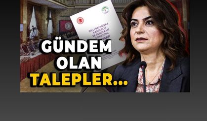 DEM Parti'nin komisyon raporu açıklandı! Öcalan'a umut hakkı, PKK'lılara şartsız af istekleri...