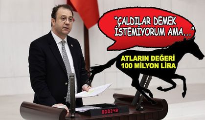 CHP'li Alp: TJK bünyesindeki safkan atlar yok!