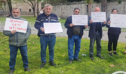 İstanbul Ağaç AŞ işçileri işlerine dönmek için 4 gündür nöbette