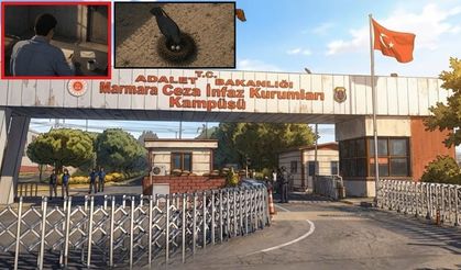 İmamoğlu'ndan 'Silivri’deki avlumda yeni komşularım var' videosu