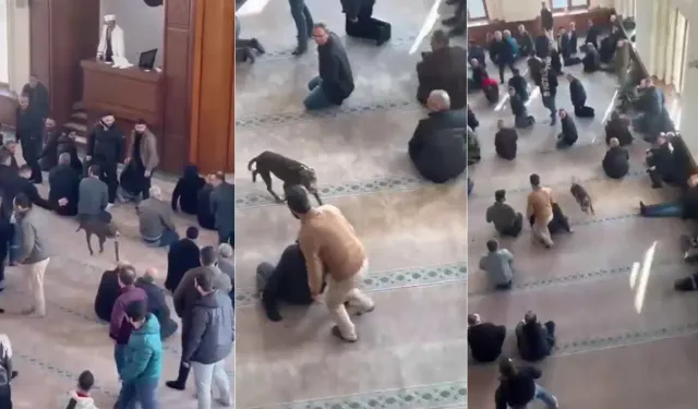 Camiye pitbull girdi cemaat tedirgin oldu