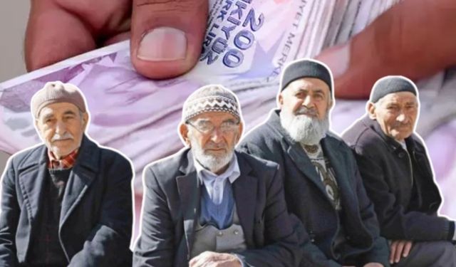 Emeklinin hayali suya düştü, en düşük maaş teklifi kabul edildi