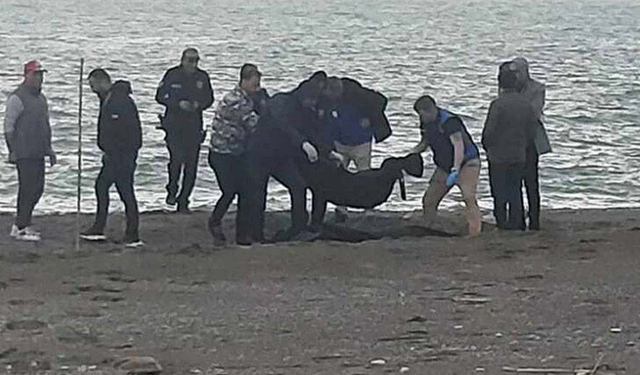Dalaman sahilinde parçalanmış erkek cesedi bulundu