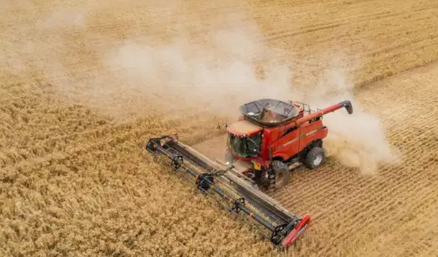 Savaşın maliyeti tarımı vurdu