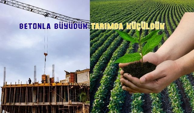 TÜİK: Türkiye 3,6 büyüdü! Tarım sektöründe büyük düşüş