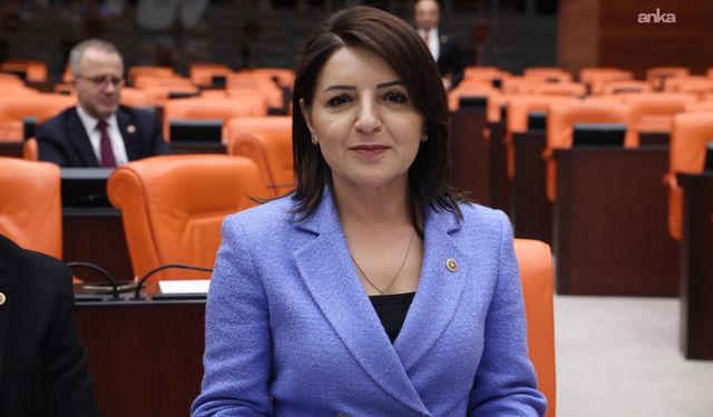 CHP'li Kış'tan elektrik ve doğalgaz zamlarına tepki: 'Vatandaş geçinmeye değil, hayatta kalmaya çalışıyor'