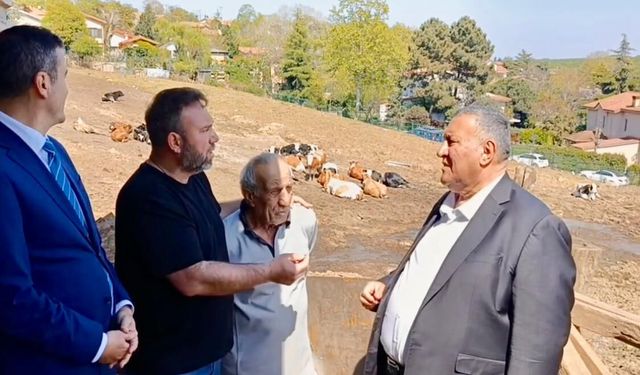 Ahırlar villaların arasında kaldı