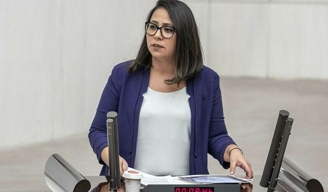 Sera Kadıgil: “iddianame” demek hukuk diplomasına hakaret olur