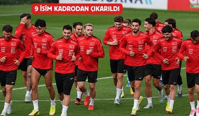 Milli Futbol Takımı'nın Dünya Kupası kadrosu açıklandı