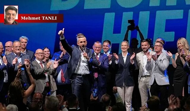Almanya'da alarm zilleri! AfD ne istiyor?