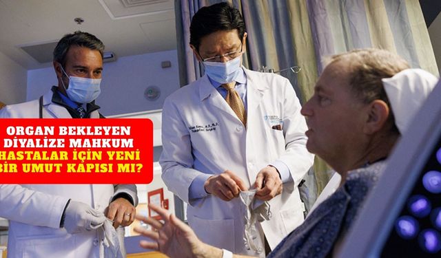 9 ay domuz böbreğiyle yaşadı sonunda insan böbreğine kavuştu