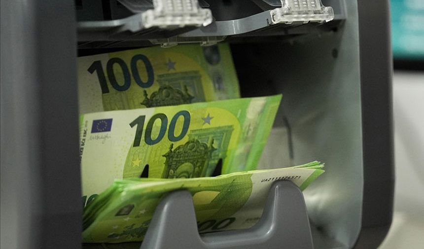 Merkez Bankası faiz indirdi Euro rekor kırdı