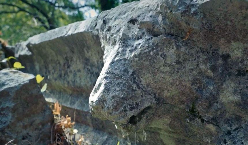 Büyük İskender'in bile fethedemediği antik kentte, 2 bin yıllık aslan başlı kırıldı