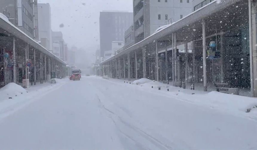 Japonya'da kar felaketi! 45 ölü