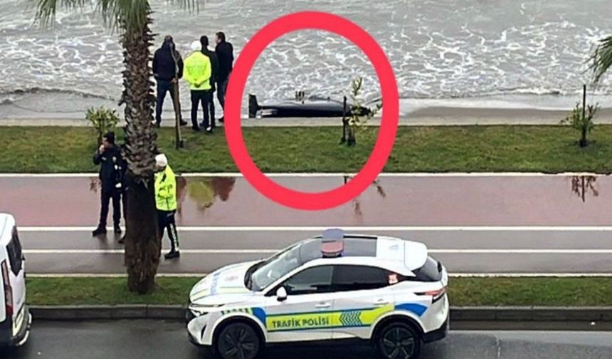 Ordu'da sahilde İHA parçası bulundu
