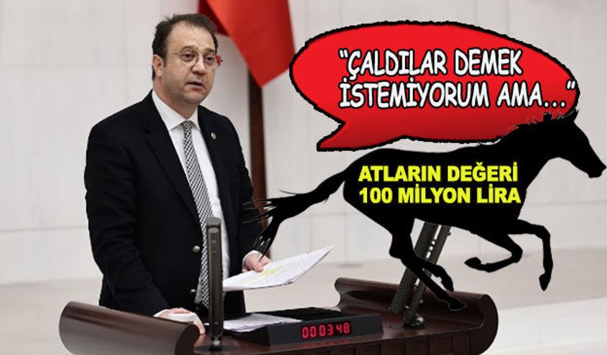 CHP'li Alp: TJK bünyesindeki safkan atlar yok!