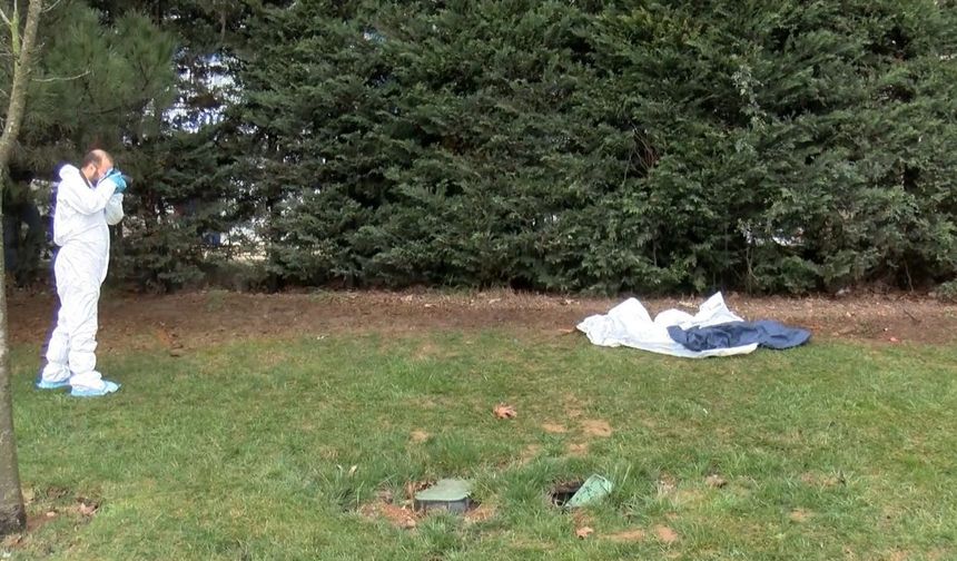 İstanbul'da korkunç olay! Yol kenarında bebek cesedi bulundu