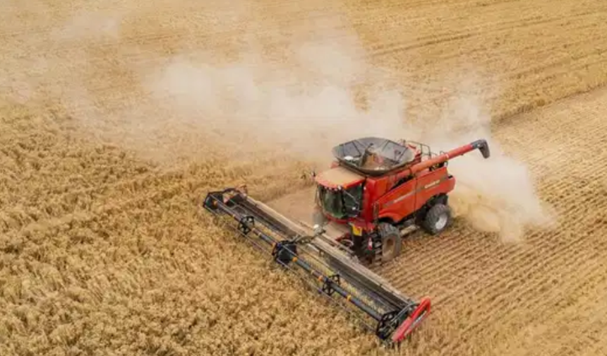 Savaşın maliyeti tarımı vurdu