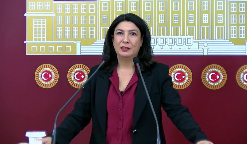 Halide Türkoğlu: Gülistan Doku olayı kurumların nasıl çöktüğünün göstergesi olmuştur