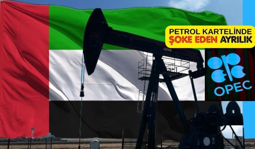 BAE'nin OPEC'den çekilmesi dünya için ne anlama geliyor? İşte yanıtı ...