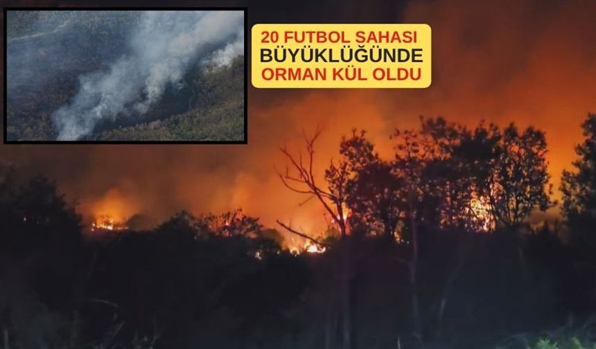 Beykoz'daki orman yangını yeniden kontrol altına alındı