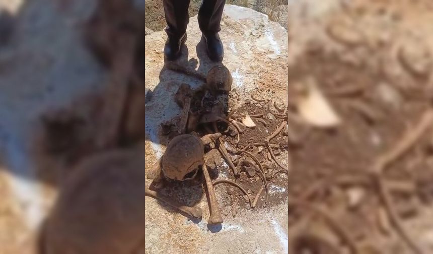 İnşaat kazısında insan kemikleri bulundu