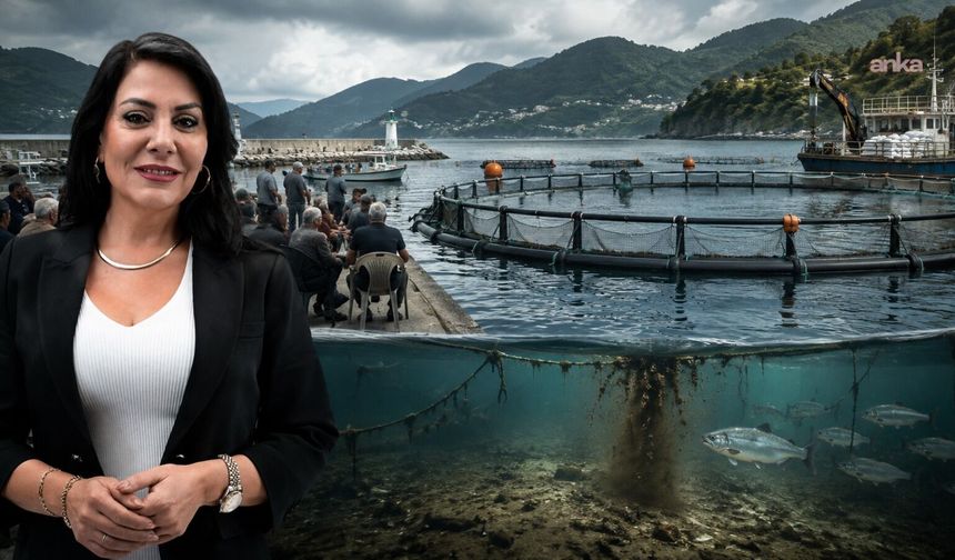 Zafer Partili Aslan'dan Balıkçı Köyü'ndeki direnişe destek: 'Balıkçı Köyü yalnız değildir'