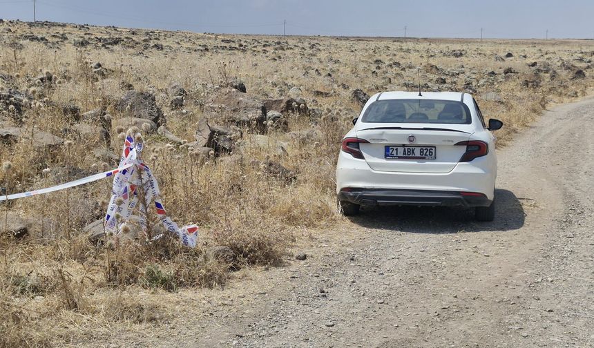 Diyarbakır'da arazide kadın cesedi bulundu! 2 gözaltı