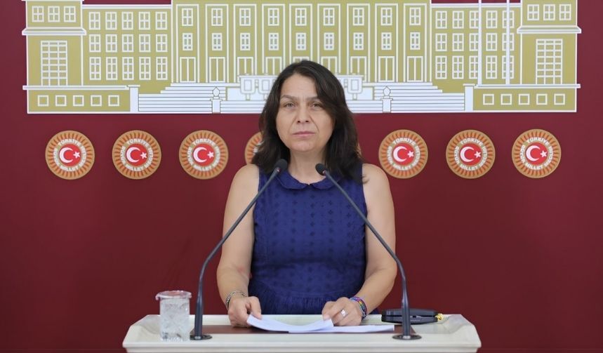 Dem Parti İstanbul Milletvekili Özgül Saki